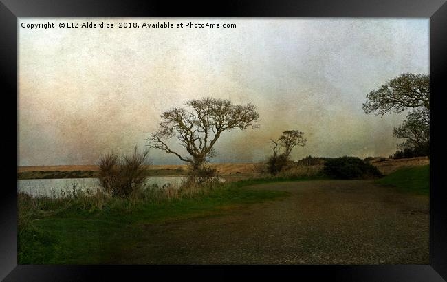 River View near Newburgh  Framed Print by LIZ Alderdice