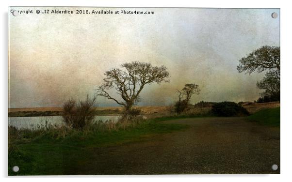 River View near Newburgh  Acrylic by LIZ Alderdice