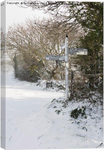 Snowy Cornish Signpost Canvas Print by Terri Waters