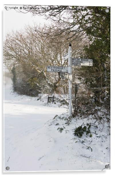 Snowy Cornish Signpost Acrylic by Terri Waters