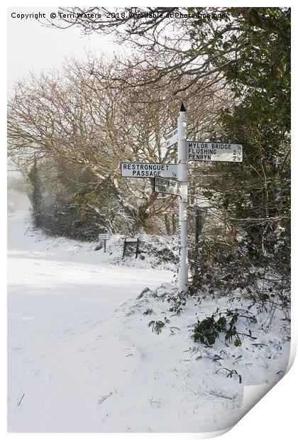 Snowy Cornish Signpost Print by Terri Waters