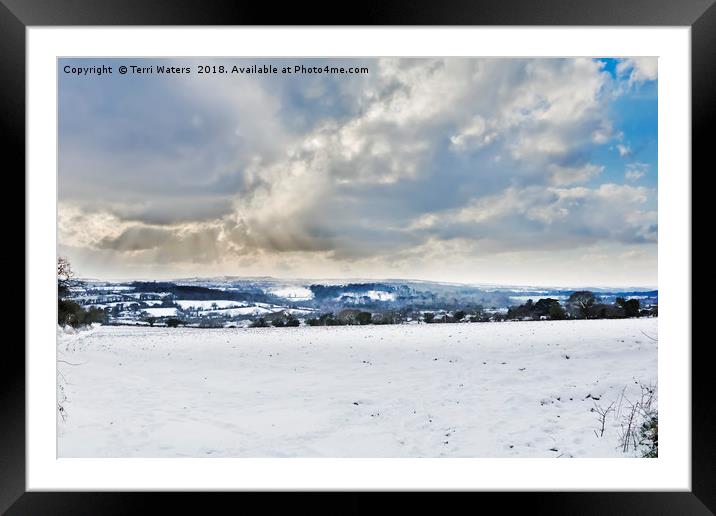 The Day It Snowed In Cornwall Framed Mounted Print by Terri Waters