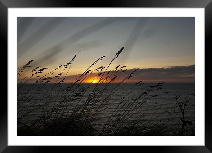 Sea Sunset Framed Mounted Print by James Lavott