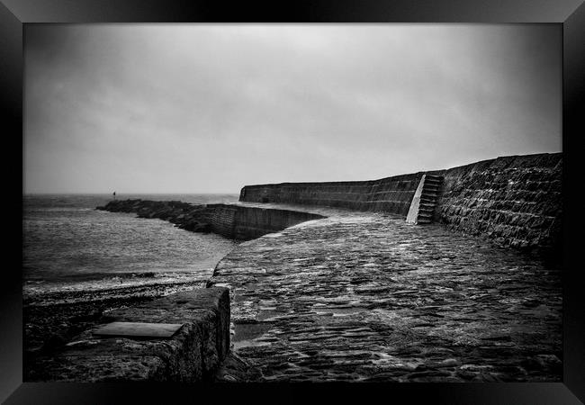 Lyme Regis Cobb Framed Print by David Hare