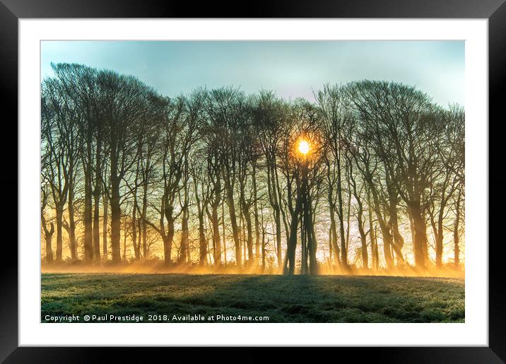 Winter Sun and Mist Framed Mounted Print by Paul F Prestidge