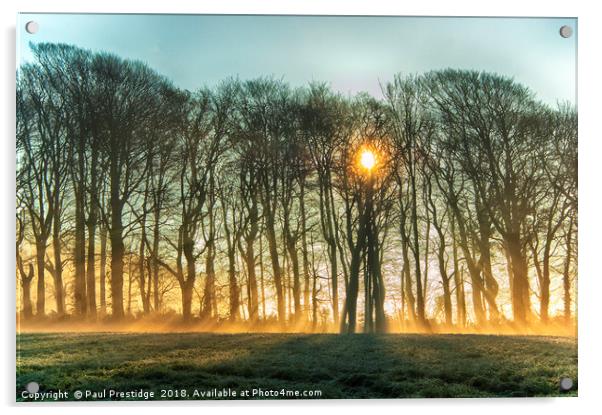Winter Sun and Mist Acrylic by Paul F Prestidge