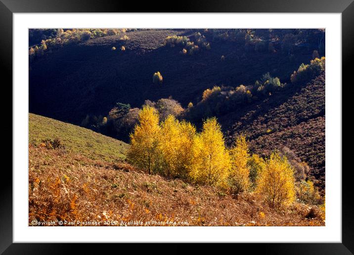Autumn at Trendlebere Down Framed Mounted Print by Paul F Prestidge