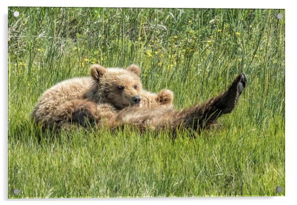 My Foot's So Pretty, Oh So Pretty - Bear Cubs, No. Acrylic by Belinda Greb