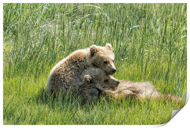 I Got Your Back - Bear Cubs, No. 4 Print by Belinda Greb