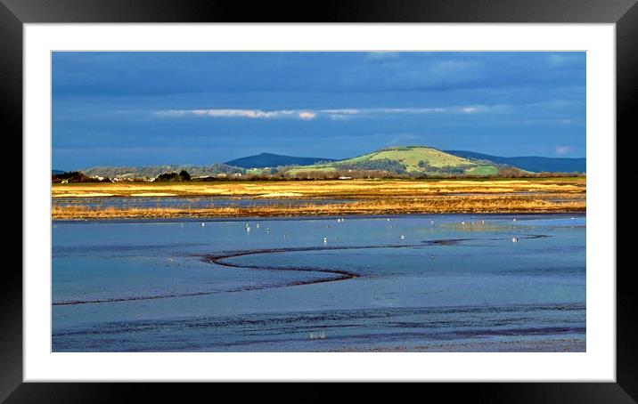 Steart Marshes in late winter sunlight             Framed Mounted Print by John Iddles