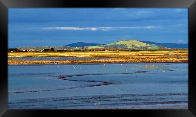 Steart Marshes in late winter sunlight             Framed Print by John Iddles