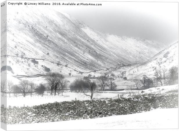 Kirkstone Pass, Cumbria Canvas Print by Linsey Williams