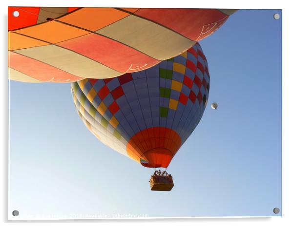 Hot air balloons in Turkey Acrylic by Sue Hoppe