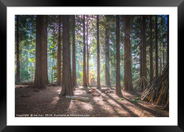 A Woodland in Spring  Framed Mounted Print by Jim Key
