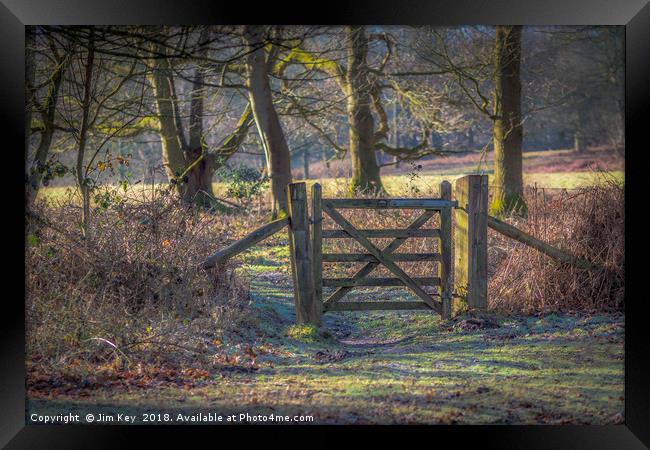 A Gate in the Wood Framed Print by Jim Key