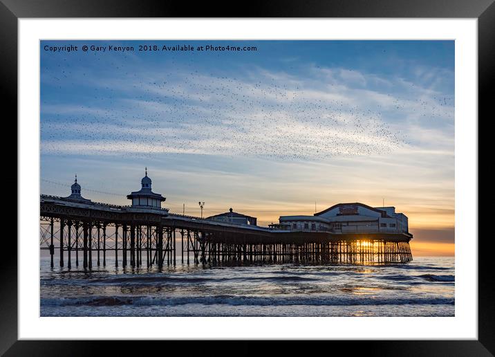 Starlings Over North Pier Framed Mounted Print by Gary Kenyon
