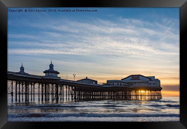 Starlings Over North Pier Framed Print by Gary Kenyon