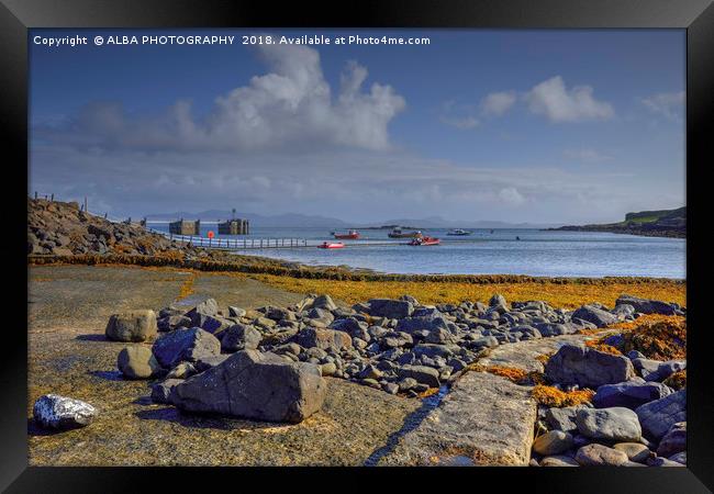 Isle of Muck Harbour, Small Isles, Scotland Framed Print by ALBA PHOTOGRAPHY