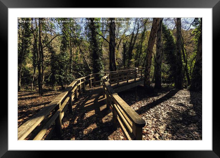 Wooden bridge in the forest Framed Mounted Print by Juan Ramón Ramos Rivero