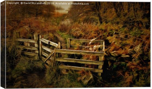 Ardinning Loch Path Canvas Print by David Mccandlish