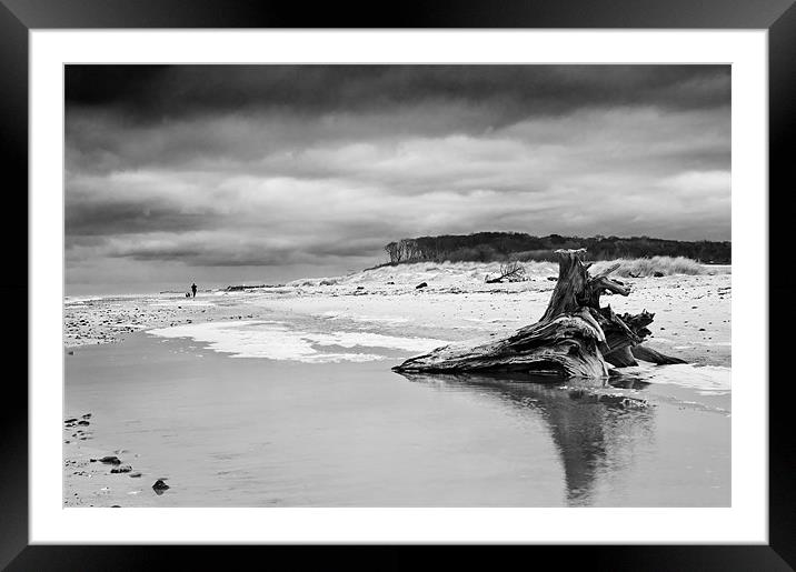 Desolate Framed Mounted Print by Stephen Mole