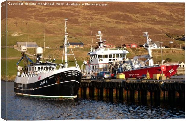 Fishing Boats Blacksness Pier, Scalloway, Shetland Canvas Print by Anne Macdonald