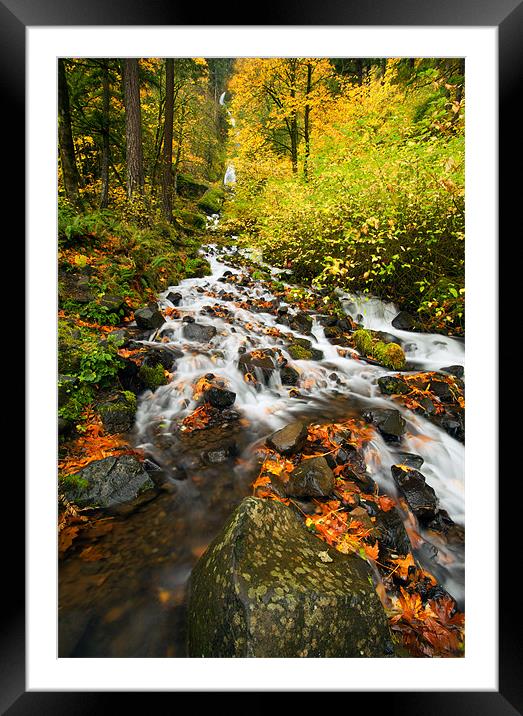 Autumn Across the Rocks Framed Mounted Print by Mike Dawson