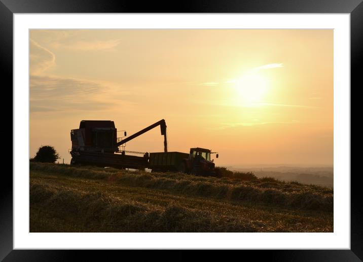 Harvest time, Dorset. Framed Mounted Print by David Neighbour