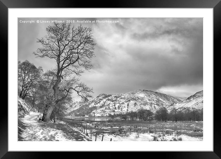 Path to Patterdale Framed Mounted Print by Linsey Williams