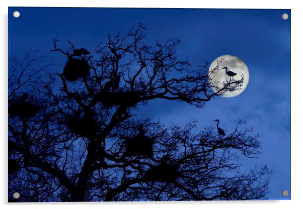 Heronry at Full Moon Acrylic by Arterra 