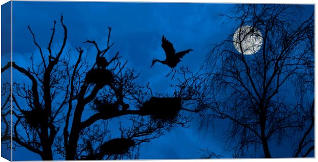 Heron Landing on Nest at Night Canvas Print by Arterra 