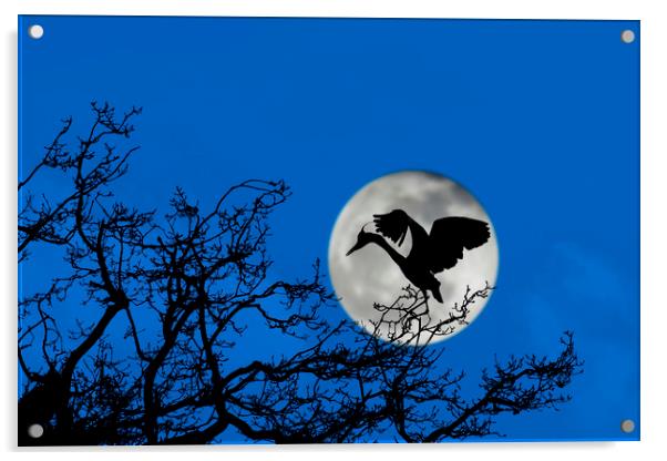 Heron Landing in Tree at Full Moon Acrylic by Arterra 