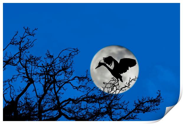Heron Landing in Tree at Full Moon Print by Arterra 