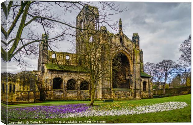 Crocuses at the Abbey Canvas Print by Colin Metcalf