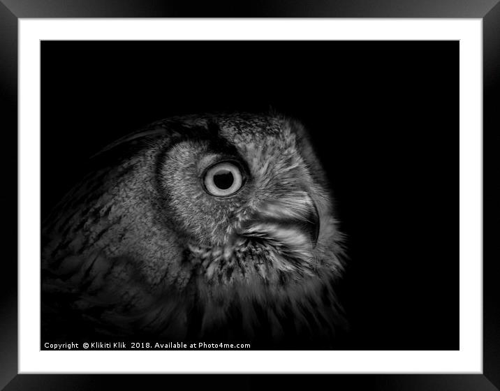Eurasian Eagle Owl Framed Mounted Print by Angela H