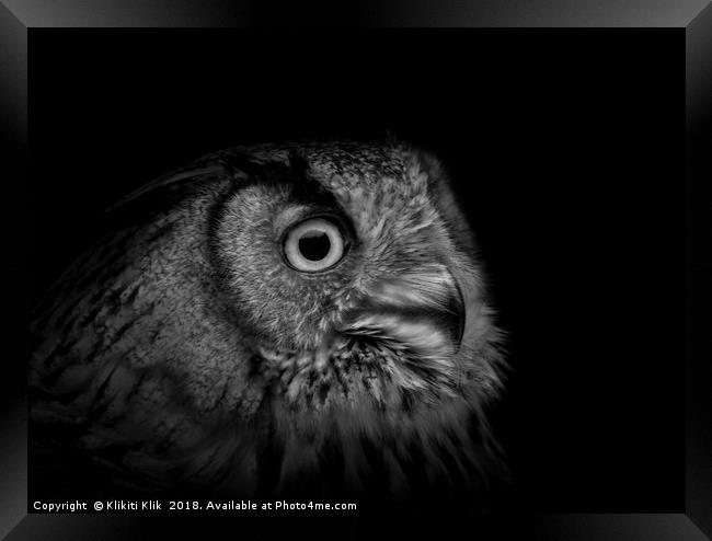 Eurasian Eagle Owl Framed Print by Angela H