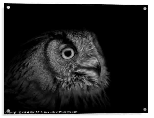 Eurasian Eagle Owl Acrylic by Angela H
