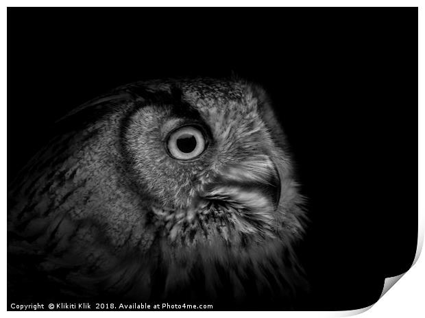 Eurasian Eagle Owl Print by Angela H