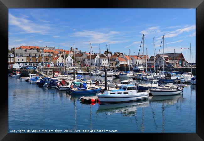 Anstruther marina Framed Print by Angus McComiskey