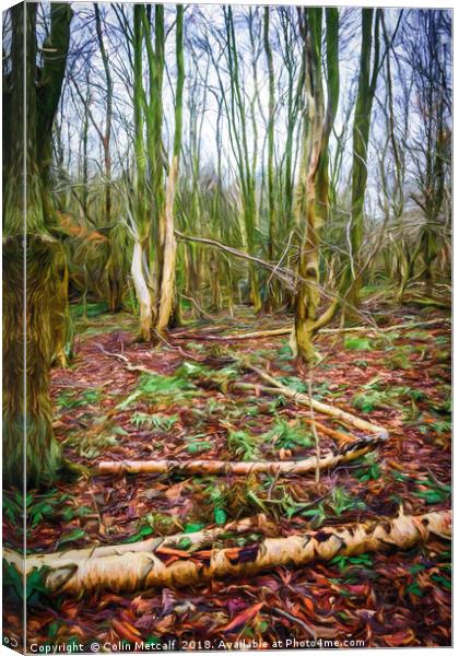 Golden Acre Woods Canvas Print by Colin Metcalf