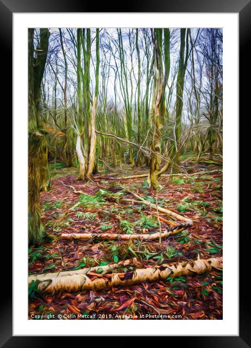 Golden Acre Woods Framed Mounted Print by Colin Metcalf