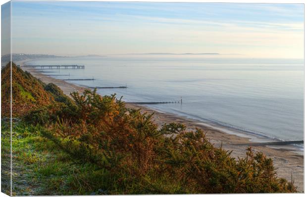 Sea view Canvas Print by Chris Day