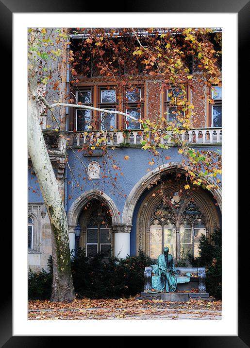 Fall in Budapest Framed Mounted Print by Adam Lucas