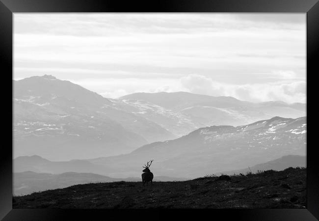 Strathglass Framed Print by Macrae Images