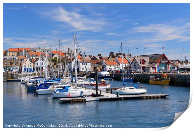 Anstruther harbour in East Neuk of Fife, Scotland Print by Angus McComiskey