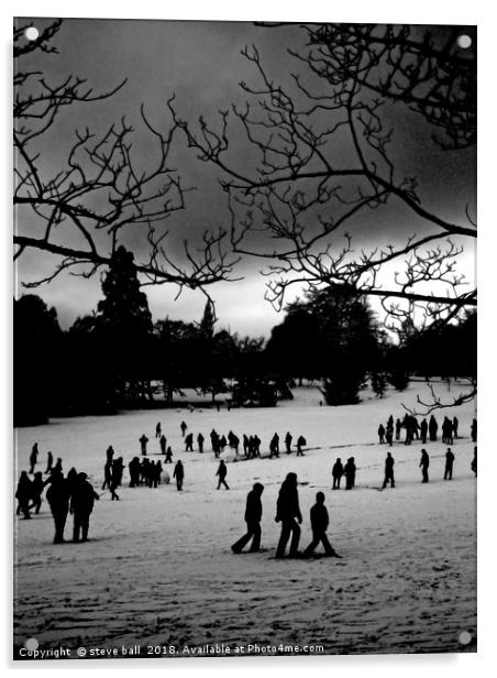 Winter park Acrylic by steve ball