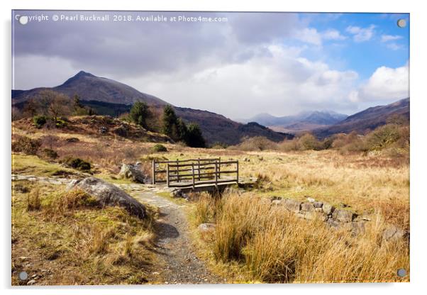 Country Path in Snowdonia Acrylic by Pearl Bucknall