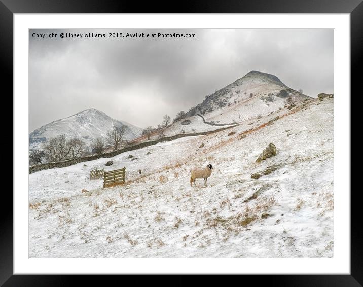 High Hartsop Dodd, Cumbria Framed Mounted Print by Linsey Williams