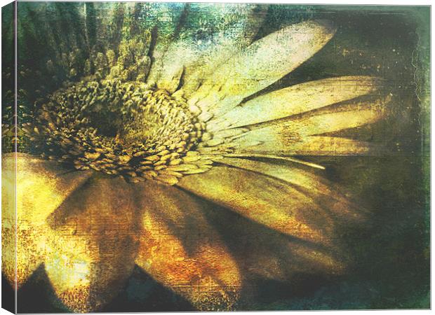A Floral  Symphony Canvas Print by Aj’s Images