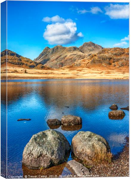 Langdale Pikes from Blea Tarn Canvas Print by Trevor Camp